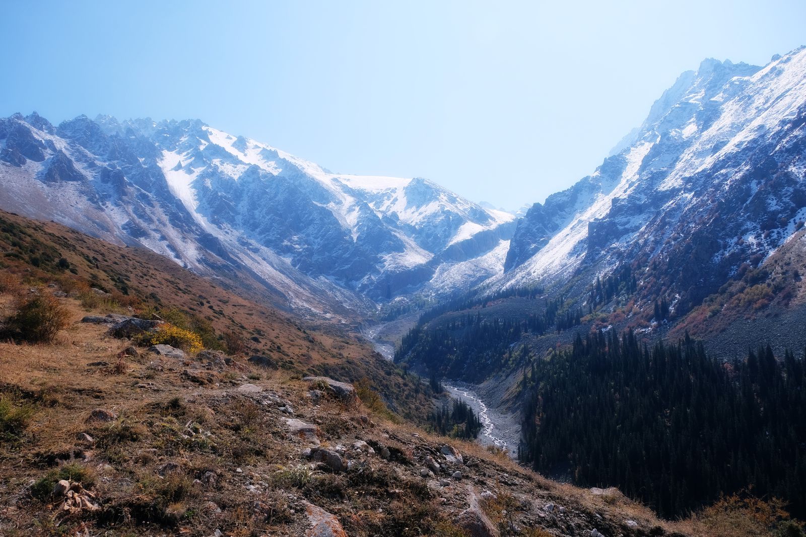 Ala-Archa gorge with snow peaks and spruce forest near Bishkek
