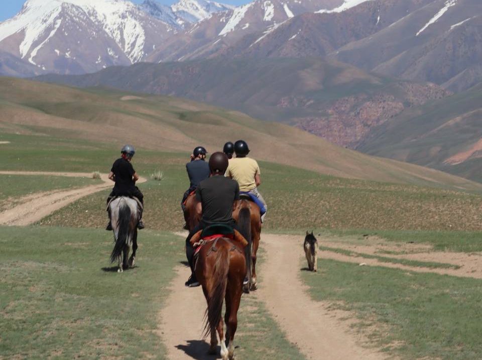 A small group on horseback riding towards snow-capped mountains